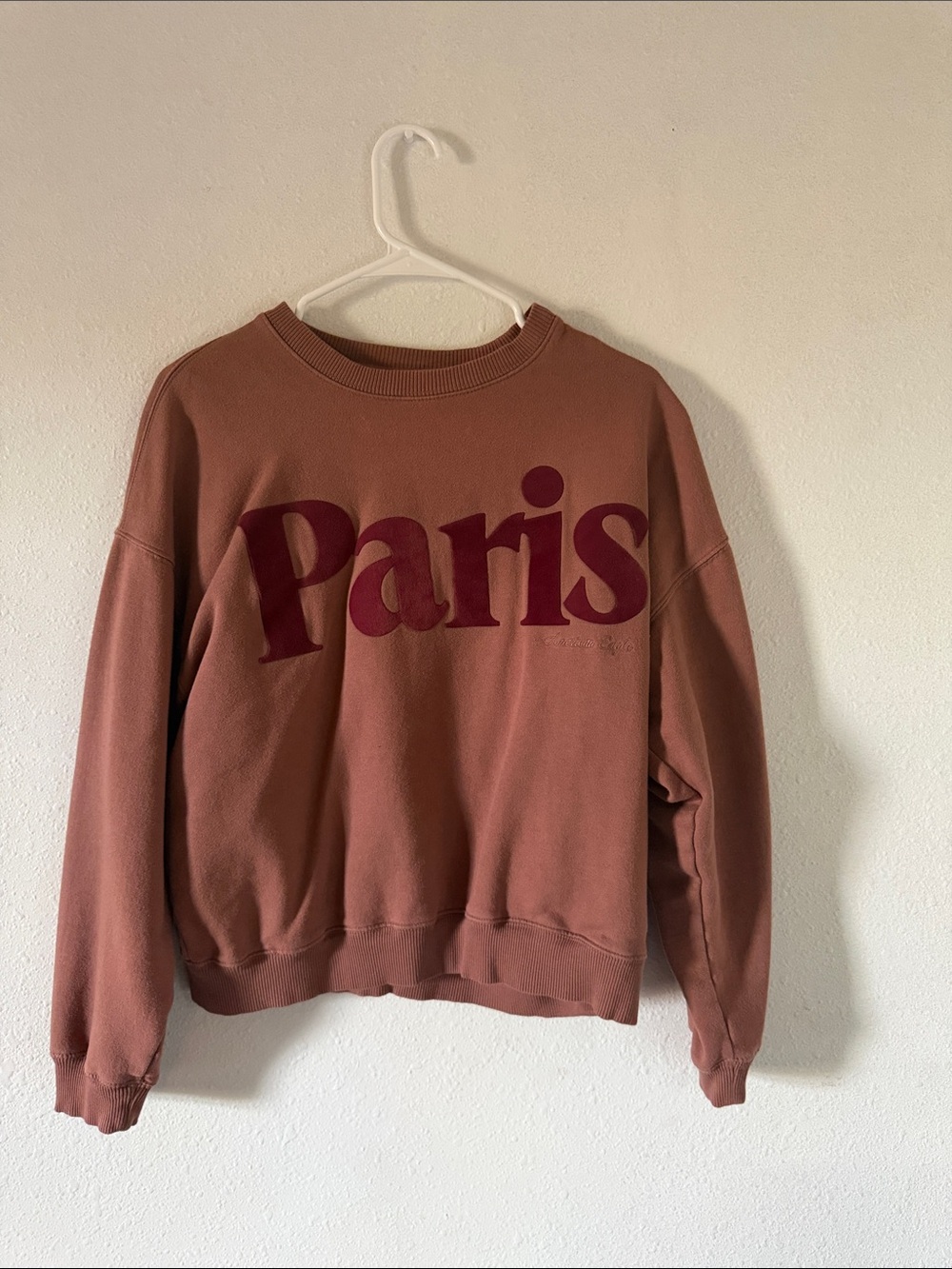 AE Velvet Graphic Crew Neck Sweatshirt